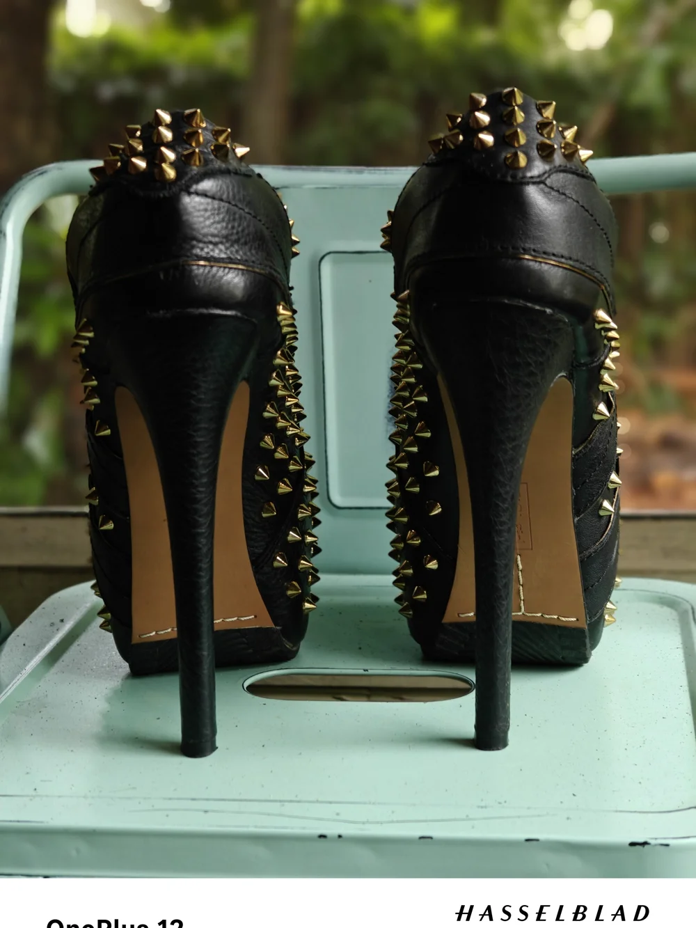 ZIGI girl bold black